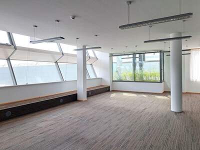 Gewerbeobjekt mieten in 1210 Wien (Bild 4)