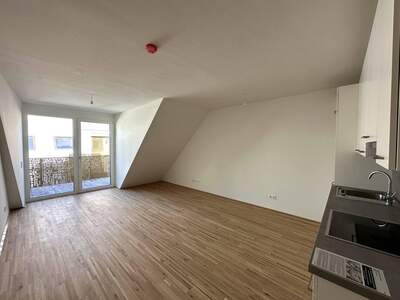 Anlageobjekt kaufen in 1220 Wien