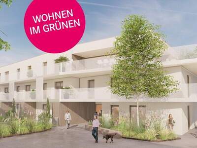 Terrassenwohnung kaufen in 7100 Neusiedl