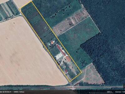 Haus kaufen in 7152 Pamhagen