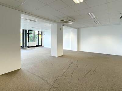 Gewerbeobjekt mieten in 1220 Wien (Bild 5)