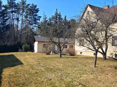 Mehrfamilienhaus kaufen in 2630 Putzmannsdorf (Bild 5)