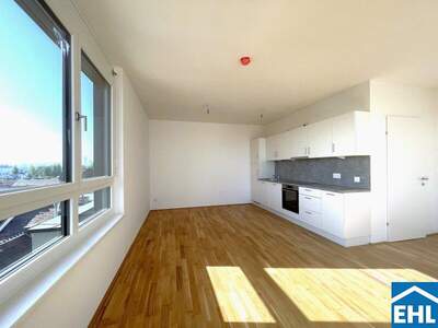 Terrassenwohnung kaufen in 1220 Wien (Bild 3)