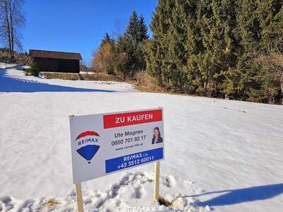 Grundstück kaufen in 8741 Weißkirchen (Bild 3)