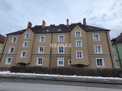 Anlageobjekt kaufen in 8784 Trieben