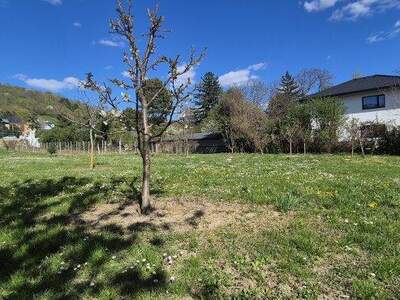 Grundstück kaufen in 2103 Langenzersdorf (Bild 2)