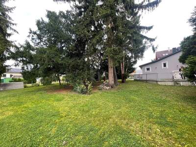 Mehrfamilienhaus kaufen in 2000 Stockerau (Bild 3)