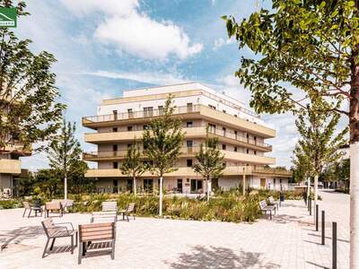 Anlageobjekt kaufen in 1210 Wien