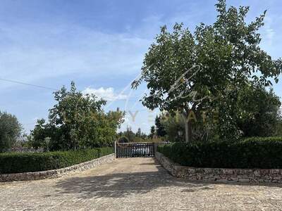 Haus mit Garten kaufen in 72013 Ceglie Messapica (Bild 3)