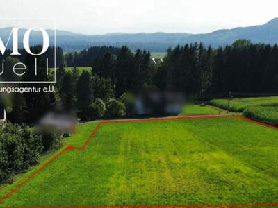 Grundstück kaufen in 8413 Sankt Georgen (Bild 3)