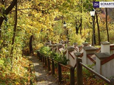 Terrassenwohnung kaufen in 2130 Mistelbach (Bild 3)