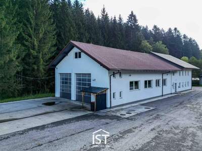 Gewerbeobjekt kaufen in 4892 Fornach