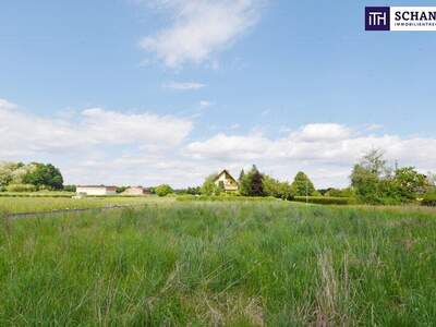 Grundstück kaufen in 8430 Leibnitz (Bild 4)