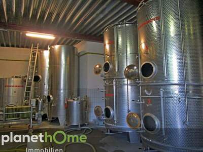 Gewerbeobjekt kaufen in 3550 Langenlois (Bild 3)