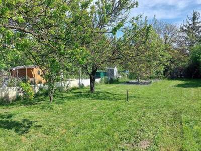 Grundstück provisionsfrei mieten in 7000 Eisenstadt