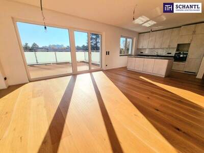 Terrassenwohnung mieten in 1210 Wien (Bild 1)