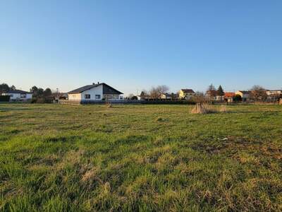 Grundstück kaufen in 2241 Schönkirchen
