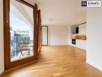 Terrassenwohnung mieten in 1230 Wien (Bild 2)
