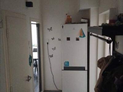 Wohnung provisionsfrei mieten in 3580 Horn