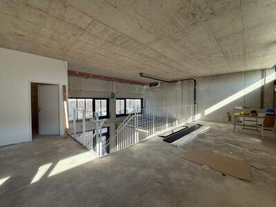 Gewerbeobjekt mieten in 1230 Wien (Bild 3)