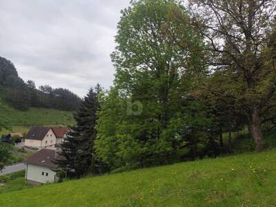 Einfamilienhaus kaufen in 2860 Kirchschlag (Bild 4)