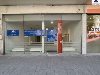 Gewerbeobjekt mieten in 1110 Wien (Bild 1)