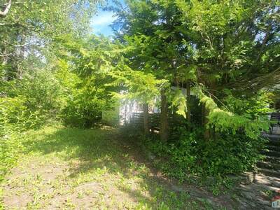 Einfamilienhaus kaufen in 2723 Muthmannsdorf (Bild 3)