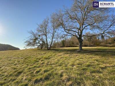 Grundstück kaufen in 8121 Deutschfeistritz