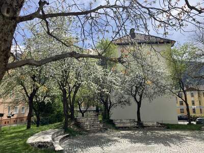 Mietwohnung in 9800 Spittal (Bild 5)