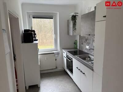 Terrassenwohnung mieten in 4400 Steyr (Bild 1)