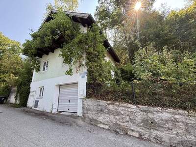 Haus kaufen in 4600 Thalheim