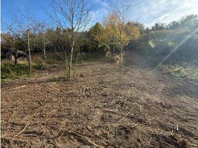 Grundstück kaufen in 3433 Königstetten (Bild 4)