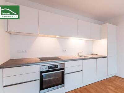 Terrassenwohnung mieten in 1210 Wien (Bild 2)