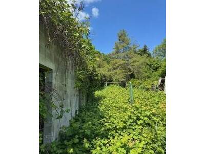 Grundstück kaufen in 2500 Baden