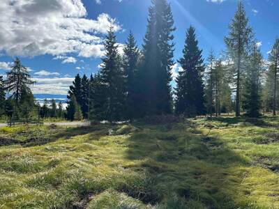 Grundstück kaufen in 9571 Albeck (Bild 2)