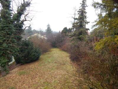 Haus kaufen in 2751 Steinabrückl