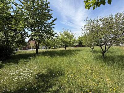 Grundstück kaufen in 4224 Wartberg (Bild 4)
