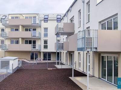 Wohnung mieten in 7000 Eisenstadt