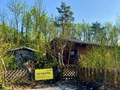 Grundstück kaufen in 2721 Bad Fischau