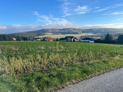 Land- und Forstwirtschaft kaufen in 3443 Sieghartskirchen