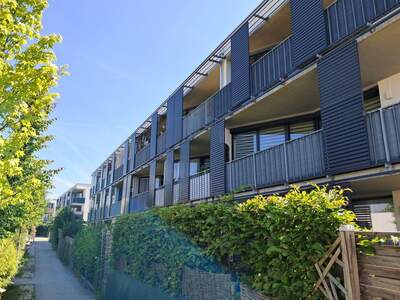 Wohnung mieten in 3500 Gneixendorf (Bild 3)