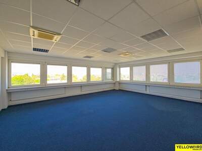 Gewerbeobjekt mieten in 1230 Wien (Bild 1)