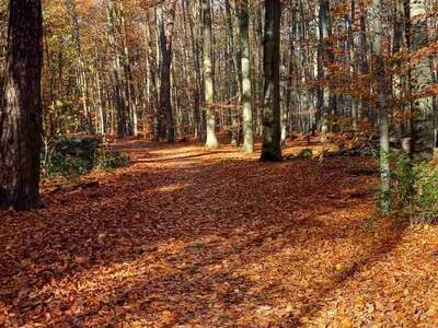 Gewerbeobjekt kaufen in 8282 Bad Loipersdorf (Bild 2)