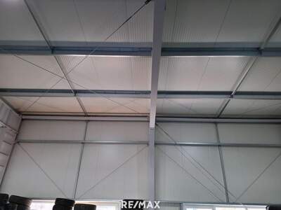 Gewerbeobjekt mieten in 3100 St. Pölten (Bild 4)