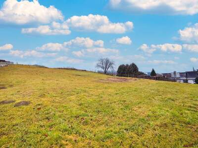 Grundstück kaufen in 8311 Markt Hartmannsdorf (Bild 1)