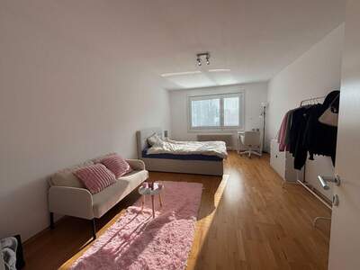 Mietwohnung in 1130 Wien (Bild 5)