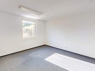 Gewerbeobjekt mieten in 8054 Graz (Bild 1)