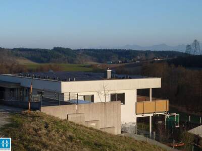 Haus mit Garten kaufen in 4904 Atzbach (Bild 3)