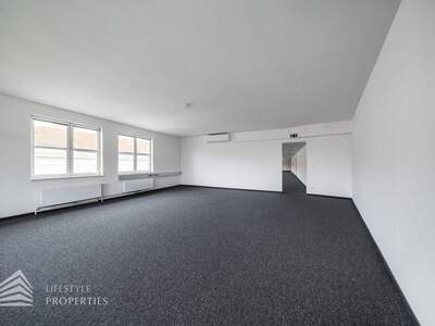 Gewerbeobjekt mieten in 1010 Wien (Bild 4)