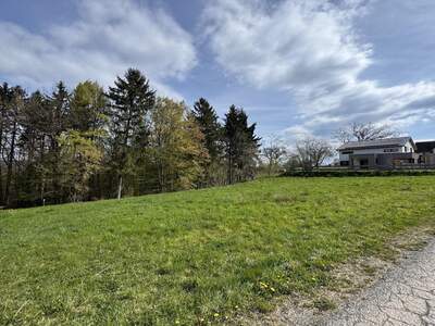 Grundstück kaufen in 8452 Großklein (Bild 3)